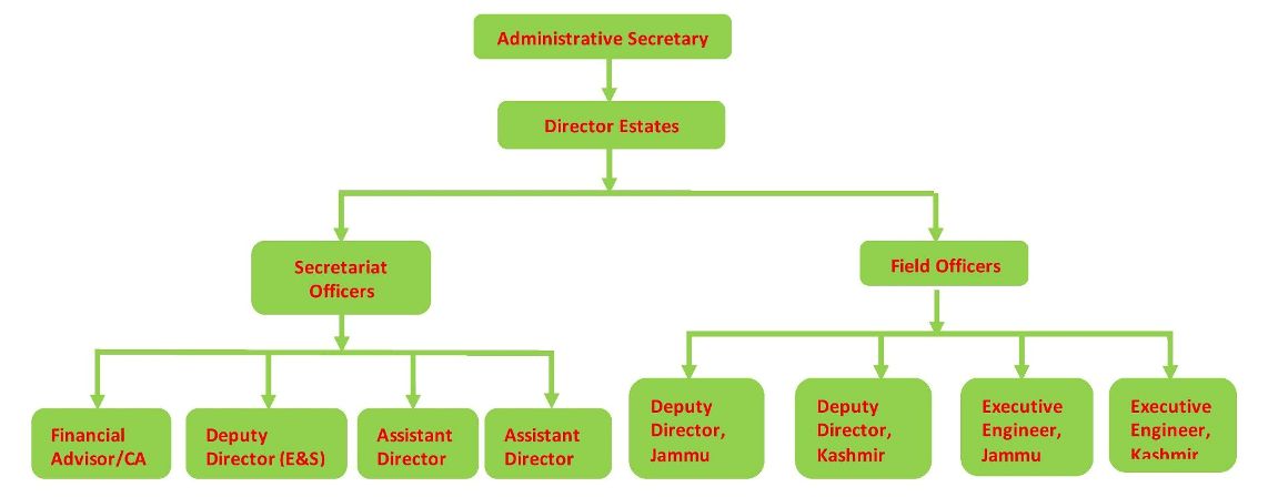 Organisation Chart